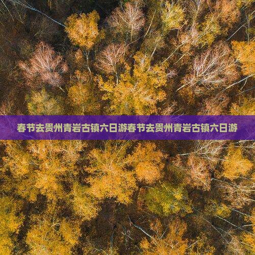 春节去贵州青岩古镇六日游