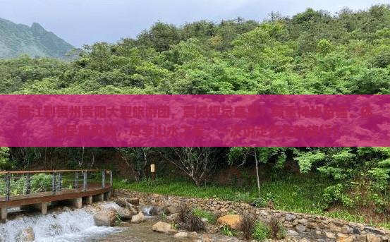 丽江到贵州贵阳大型旅游团