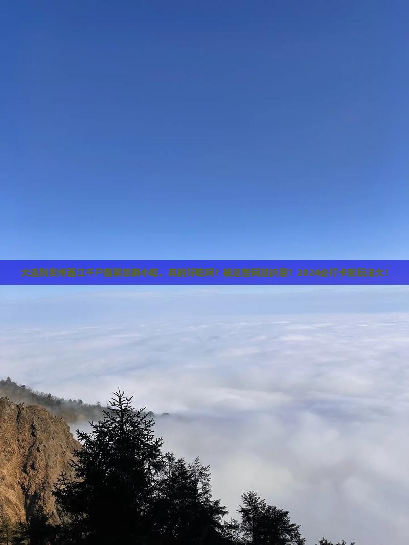 大连到贵州西江千户苗寨旅游小吃