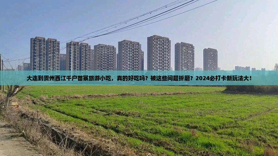 大连到贵州西江千户苗寨旅游小吃