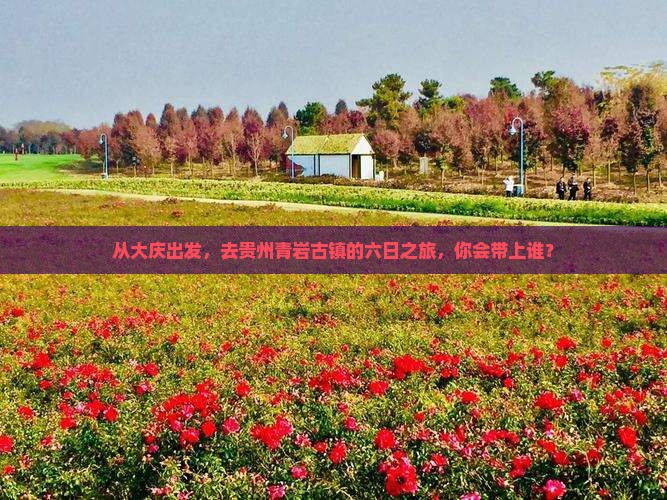大庆到贵州青岩古镇六日游