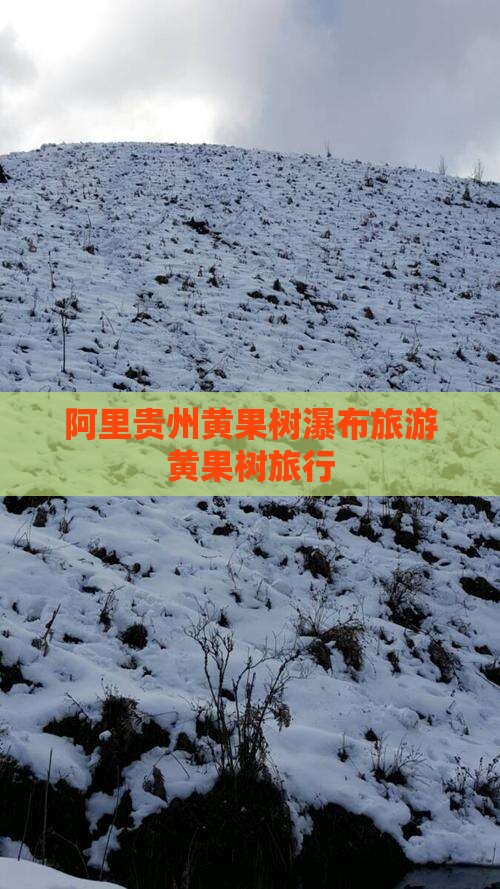 阿里去贵州黄果树瀑布旅行社