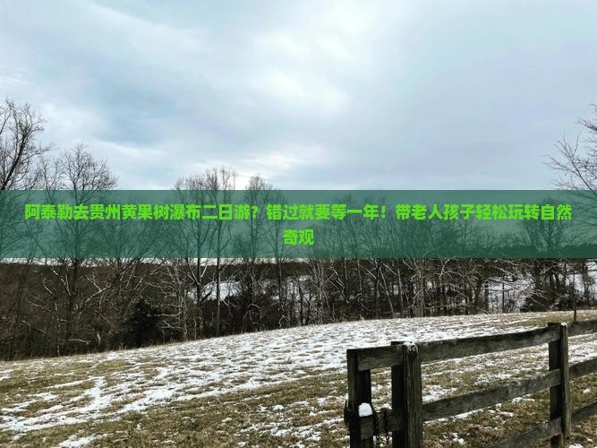 阿泰勒去贵州黄果树瀑布二日游