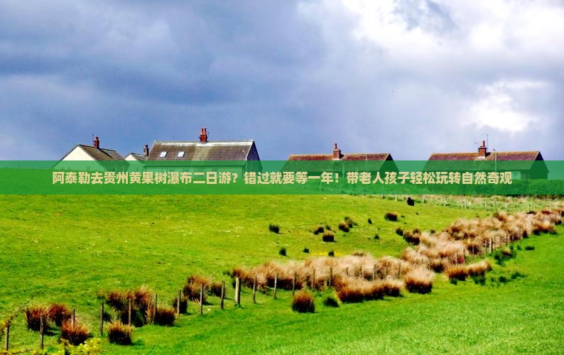 阿泰勒去贵州黄果树瀑布二日游