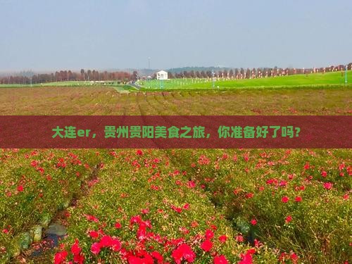 大连去贵州贵阳旅游小吃
