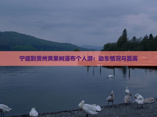 宁德到贵州黄果树瀑布个人游