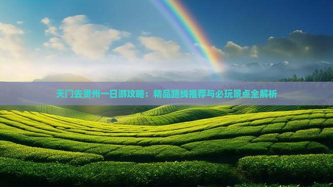 天门去贵州一日