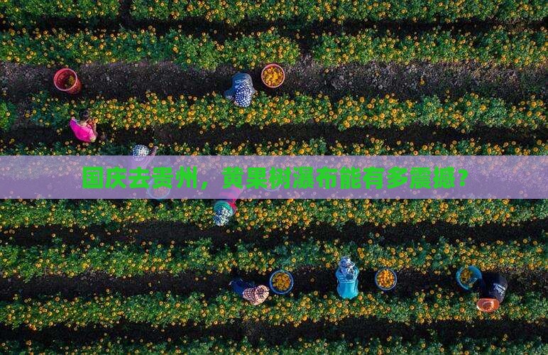 国庆节到贵州黄果树瀑布一日