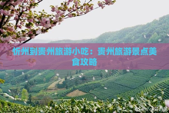 忻州到贵州旅游小吃