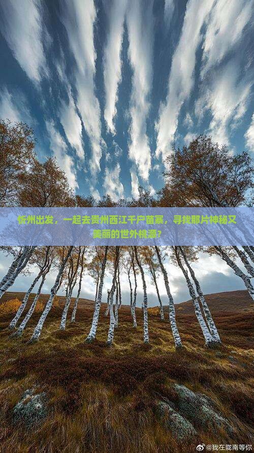 忻州到贵州西江千户苗寨团体旅游