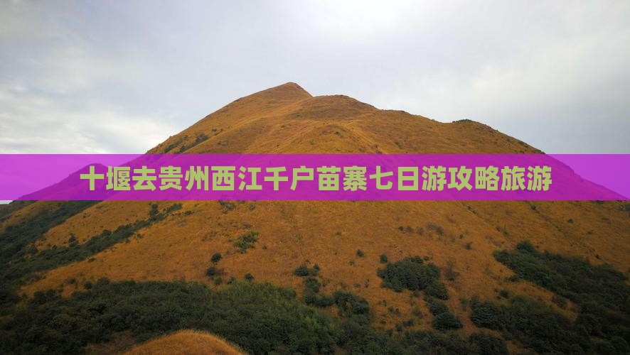 十堰去贵州西江千户苗寨七日游