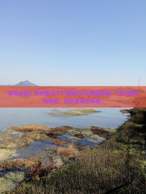 来宾到贵州西江千户苗寨旅游