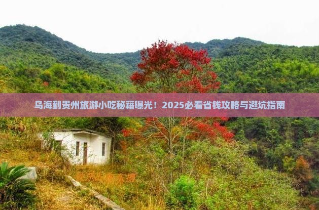 乌海到贵州旅游小吃