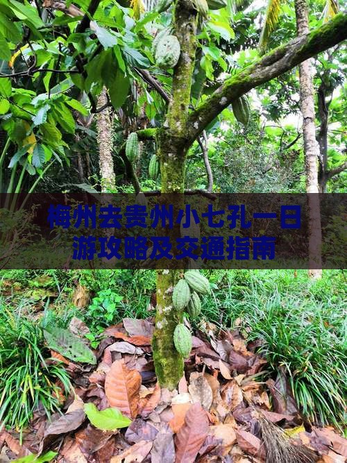 梅州去贵州小七孔一日游攻略及交通指南