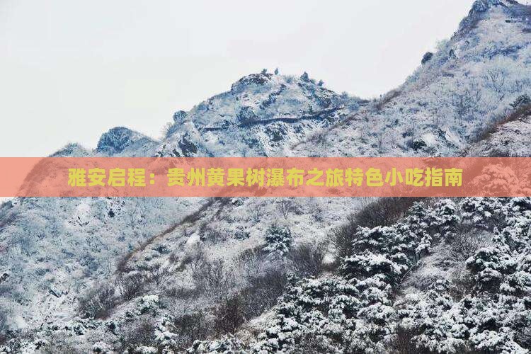 雅安启程：贵州黄果树瀑布之旅特色小吃指南