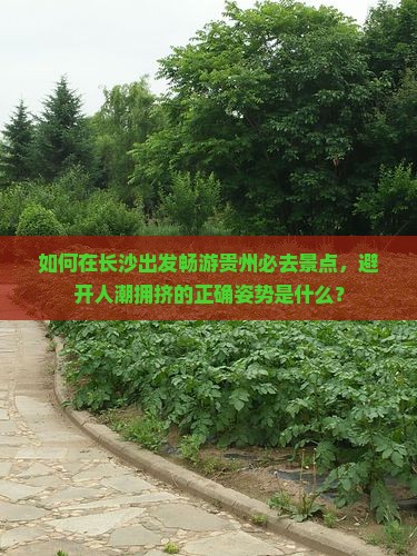 如何在长沙出发畅游贵州必去景点，避开人潮拥挤的正确姿势是什么？