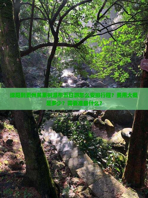 绵阳到贵州黄果树瀑布五日游怎么安排行程？费用大概是多少？需要准备什么？