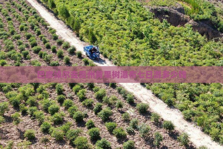 巴彦淖尔去贵州黄果树瀑布七日游