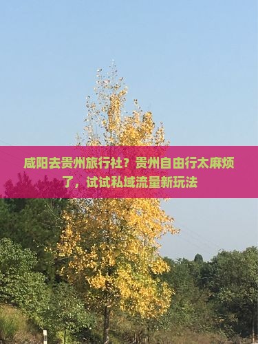 咸阳去贵州旅行社