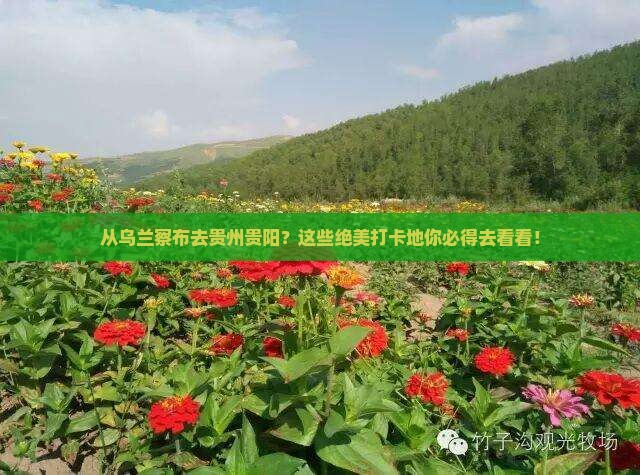 乌兰察布到贵州贵阳必去地