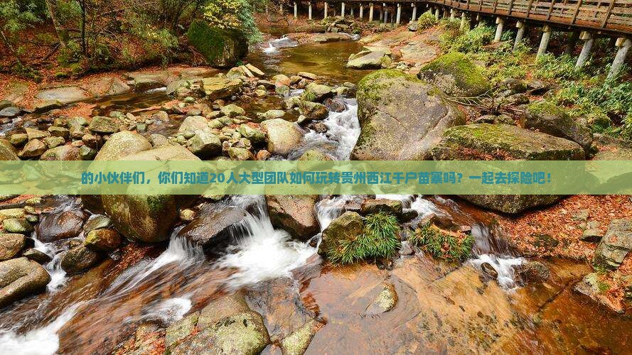 朝阳去贵州西江千户苗寨大型旅游团
