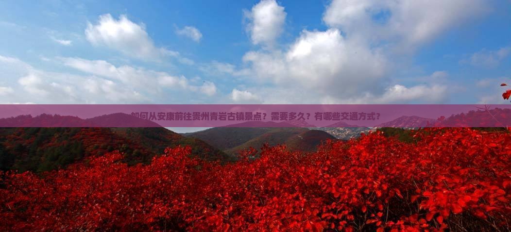 安康去贵州青岩古镇景点