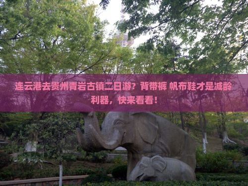 连云港去贵州青岩古镇二日游