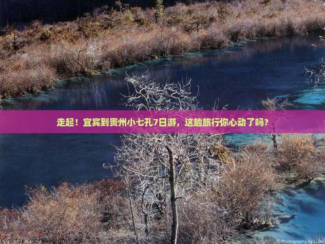 宜宾到贵州小七孔七日游