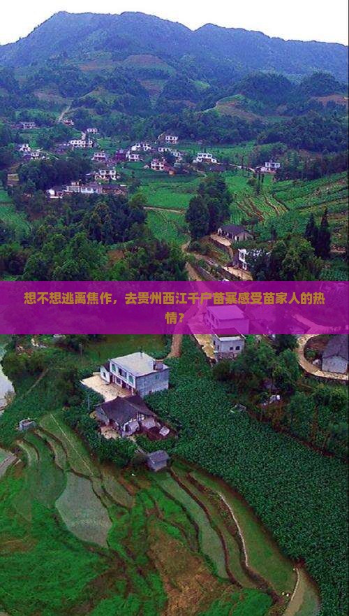 焦作去贵州西江千户苗寨旅游