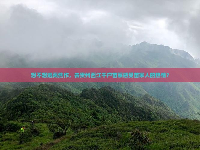 焦作去贵州西江千户苗寨旅游