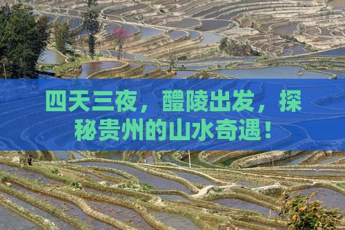 醴陵去贵州四日游