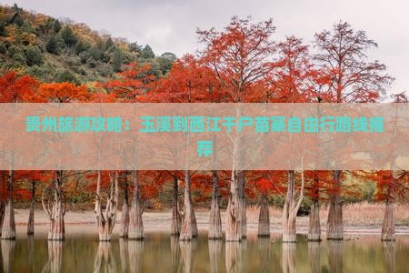 玉溪去贵州西江千户苗寨景点