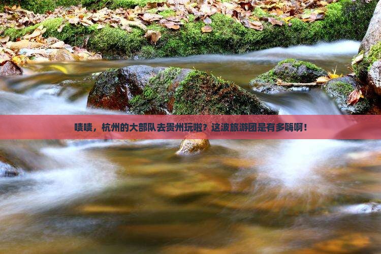 杭州去贵州大型旅游团
