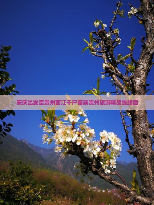 安庆到贵州西江千户苗寨大型旅游团