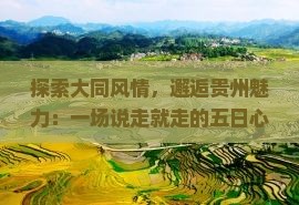 大同去贵州五日游