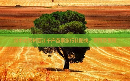 汉中去贵州西江千户苗寨旅行社