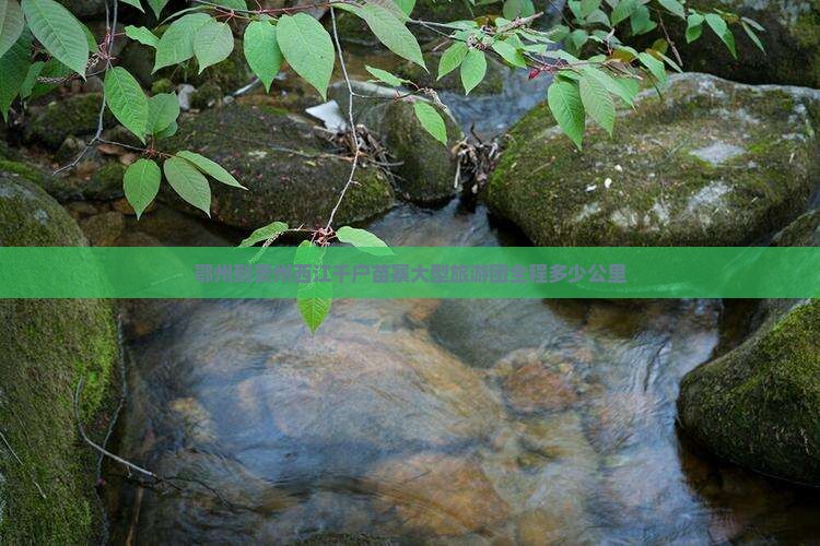 鄂州到贵州西江千户苗寨大型旅游团
