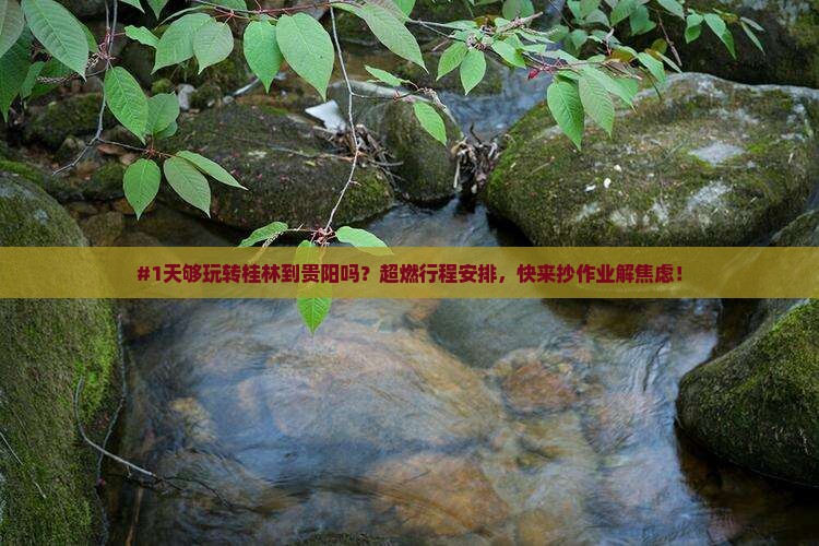 桂林去贵州贵阳一日