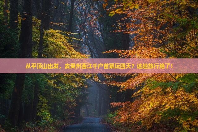 平顶山到贵州西江千户苗寨四日游