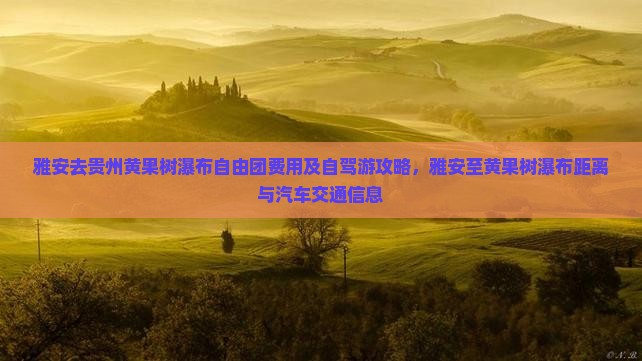 雅安去贵州黄果树瀑布自由团