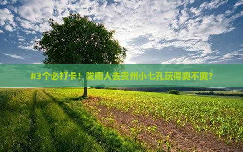 陇南去贵州小七孔哪里玩