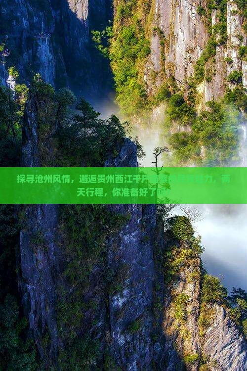 沧州到贵州西江千户苗寨二日游