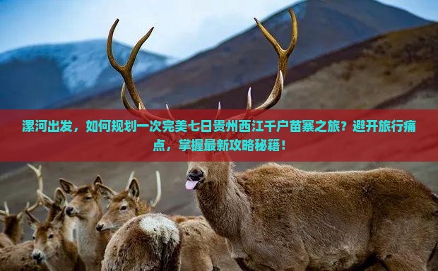 漯河到贵州西江千户苗寨七日游