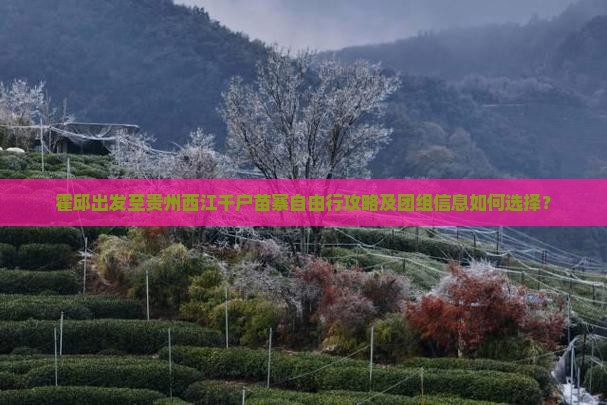霍邱去贵州西江千户苗寨自由团