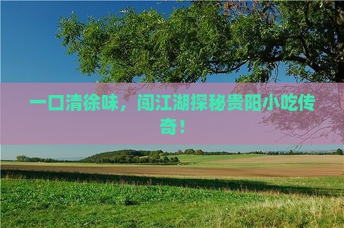 清徐到贵州贵阳旅游小吃