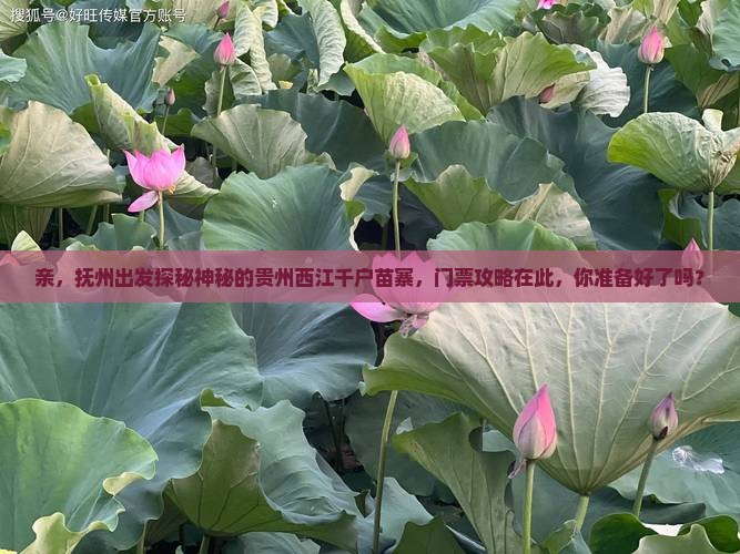 抚州到贵州西江千户苗寨门票