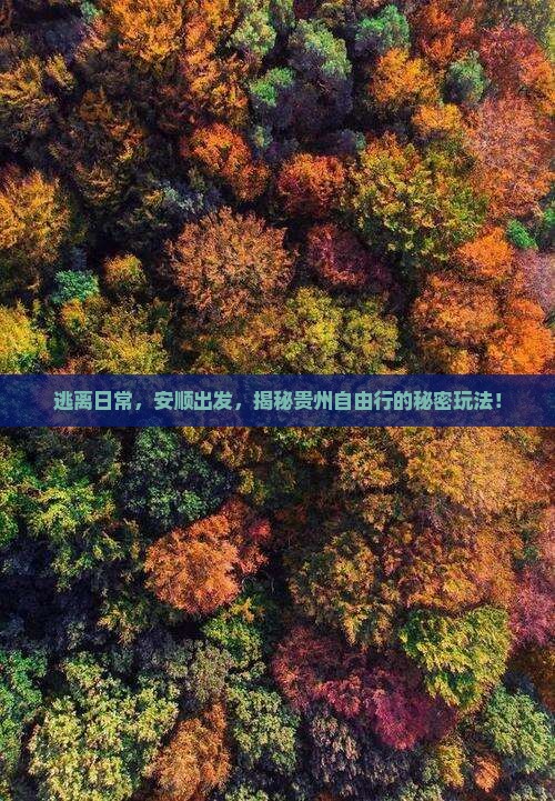 安顺到贵州自由团