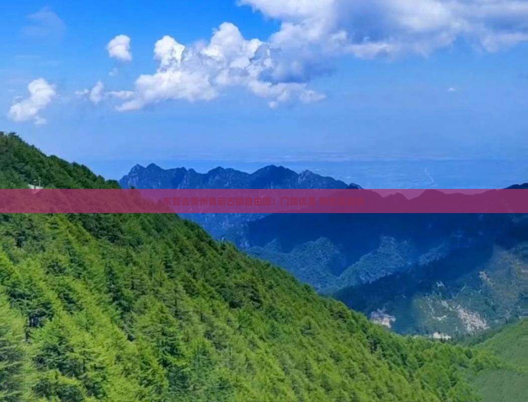 东营去贵州青岩古镇自由团