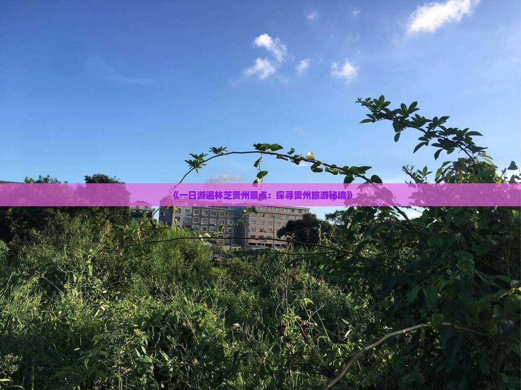 林芝到贵州一日