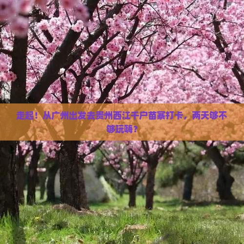 广州去贵州西江千户苗寨二日游